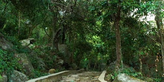 石质楼梯在热带树木和植物之间的自然公园。公园里破旧的楼梯。热带森林石阶，旅游步道