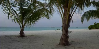 白色的沙滩上有棕榈树在海上和船上。