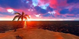 日落时分小岛上的椰子树