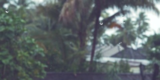 慢镜头:季雨落在一个热带海滨家庭郁郁葱葱的后院。