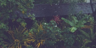 慢镜头:暴雨冲刷着被热带植物包围的黑色屋顶。