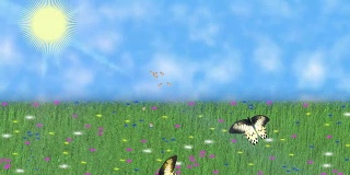 夏天的本性。蝴蝶和飞蛾在草地和蓝天的背景和灿烂的太阳旋转。