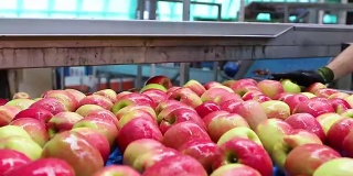 苹果果品质量控制产业体系