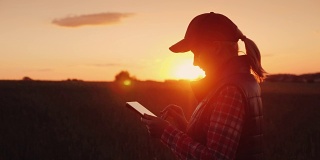 日落时分，年轻的农妇在田里摆弄着平板电脑。业主的一个小的商业概念