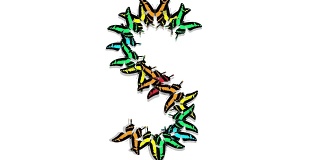 彩色的动画蝴蝶来了，形成一个字母s