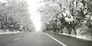 雪后的道路视频。