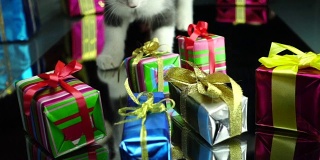 小猫抓住圣诞礼物