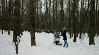 年轻的妈妈在冬天的公园里推着婴儿车走着。4k镜头视频素材模板下载