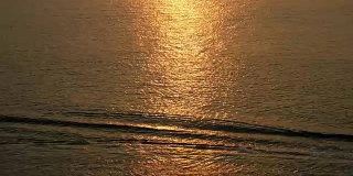 金色夕阳下的海面上滑水