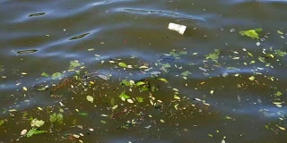 废物污染了水库。