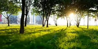阳光穿过城市公园的树木，镜头在移动。骑自行车的人和一个孩子在一个娱乐公园，慢镜头