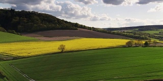 无人机飞越草地和油菜籽田在英国