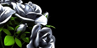 黑色文本空间上的白玫瑰花束