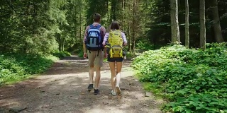 后视图:背着背包的朋友们沿着森林里的一条小路走。活跃的年轻人在徒步旅行