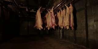 挂在冰箱里的半死猪肉