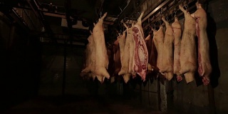 肉类冷库——肉类生产