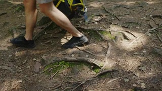 一个人的腿，沿着树根沿着山路走。替身拍摄视频素材模板下载