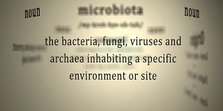 定义:微生物群