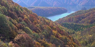 摇摄:日本福岛相珠松中津川桥与秋红叶林