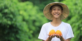 橙果有机或生物农场的新鲜产品。