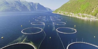 挪威渔场录像。碧海青山绿水。空中射击。前视图。