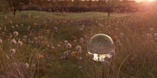 傍晚阳光下的草地和玻璃球