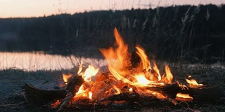 河边森林里燃烧着篝火的枯枝。