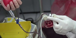 4 k:献血