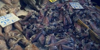 希腊雅典中央市场出售的一盘鱿鱼