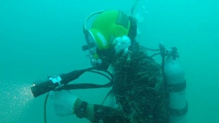 一群在水下学习水肺潜水课程的潜水员视频素材模板下载