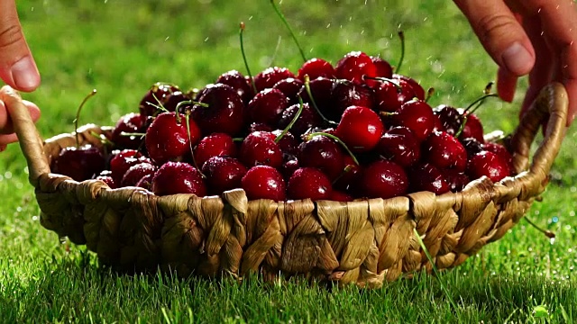 Fresh, ripe, juicy cherries rotate. Red cherry clockwise