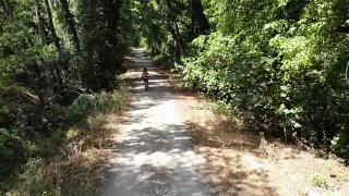 妇女骑着自行车在路上，周围都是树。视频素材模板下载