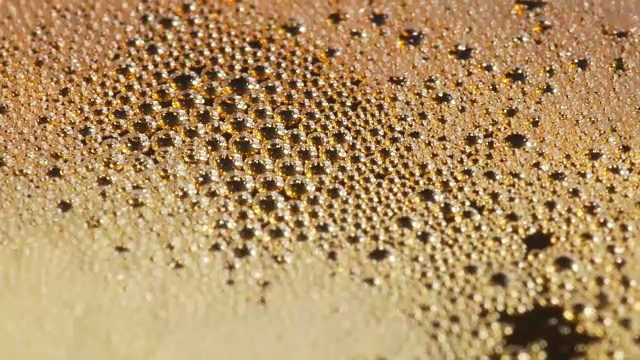 Beer Bubbles And Foam Closeup