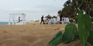 沙滩上的婚礼
