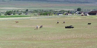 牧牛牛仔穿过田野在路边-无人机射击
