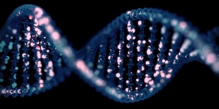 DNA测序/编辑概念。