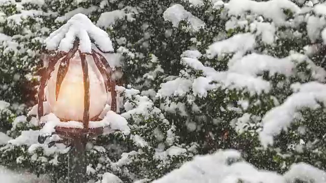 美丽的冬日贺卡用树盖雪，街灯和慢动作雪。