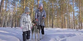 美丽的女人和小孩走在冬天的森林与哈士奇狗。快乐的年轻母亲和女儿在冬季公园与哈士奇狗。雪林中的西伯利亚哈士奇。