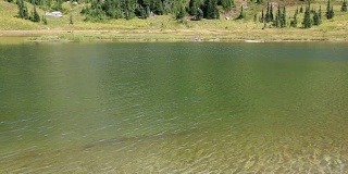上提素湖的绿水