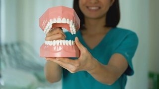 友善的医生展示下颌模型，专业的牙医服务，健康的牙齿视频素材模板下载