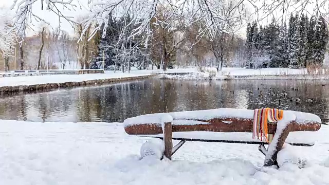 美丽的冬季贺卡与慢镜头雪花城市公园的第一场雪，鸭子在结冰的池塘和覆盖着雪的长凳上