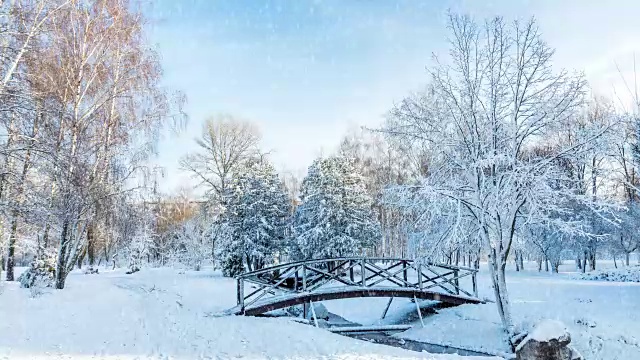 美丽的冬季贺卡与慢动作雪花在城市公园的第一雪与树下在新雪在日出。桥在一个晴朗的日子在冬季城市公园。