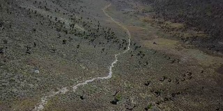 鸟瞰图美丽的多汁森林在肯尼亚山区。无人机拍摄的肯尼亚山国家公园