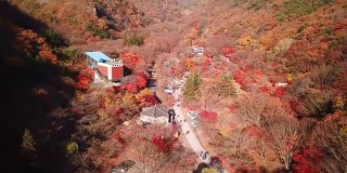 韩国najang山国家公园秋日森林鸟瞰图。
