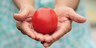 健康食品资深女性手上的番茄