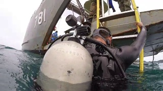 一群在水下学习水肺潜水课程的潜水员视频素材模板下载