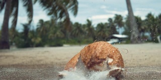 慢镜头:大片毛茸茸的椰子壳落地后碎裂