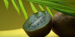 一半猕猴桃下热带叶，异国多汁水果，保健，维生素小吃