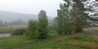 空中视频。夏季森林里有一条小山河