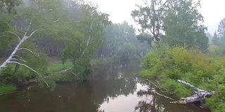 空中视频。夏季森林里有一条小山河